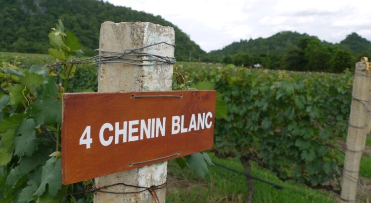 GranMonte Wins Two Golds at AWC Vienna 2025 - TRAVELINDEX